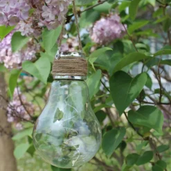2 ampoules solaires décoratives à suspendre