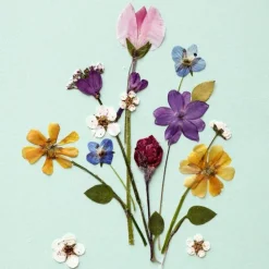 20 serviettes 3 plis Bunches 33x33 cm