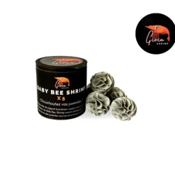 Abri baby bee shrimp Gioiashrimp – boîte de 5