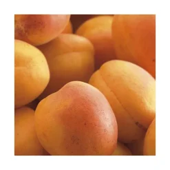 Abricotier Doucoeur® Anderheart. En racine nue, forme gobelet