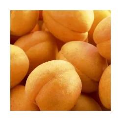 Abricotier Rustique Des Pyrenees ® Bourqui. Le pot de 12 litres, forme gobelet