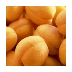 Abricotier Rustique Des Pyrenees ® Bourqui Lr. Le pot de 15 litres