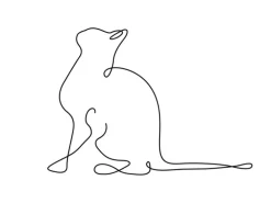 Affiche illustration noir et blanc Aquarupella Chat - 30 x 40 cm