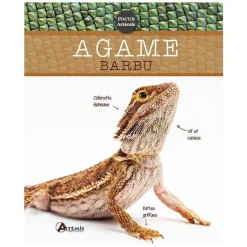 Agame Barbu. Editions Artemis