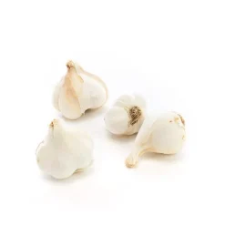 Ail bio d'Espagne - Filet 3 têtes