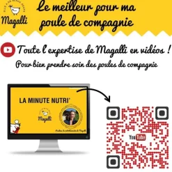 Aliment complet pour poule pondeuse Santé Plus en sac bleu de 4 kg