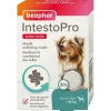 Aliment complémentaire consistance des selles pour chien Beaphar IntestoPro - x 20 comprimés