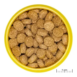 Aliment en comprimés JBL Pronovo crabs wafer M – 100 ml