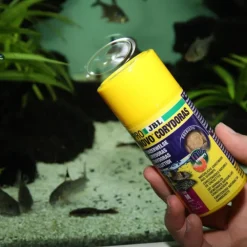 Aliment en comprimés pour corydoras JBL Pronovo Tab M – 100 ml