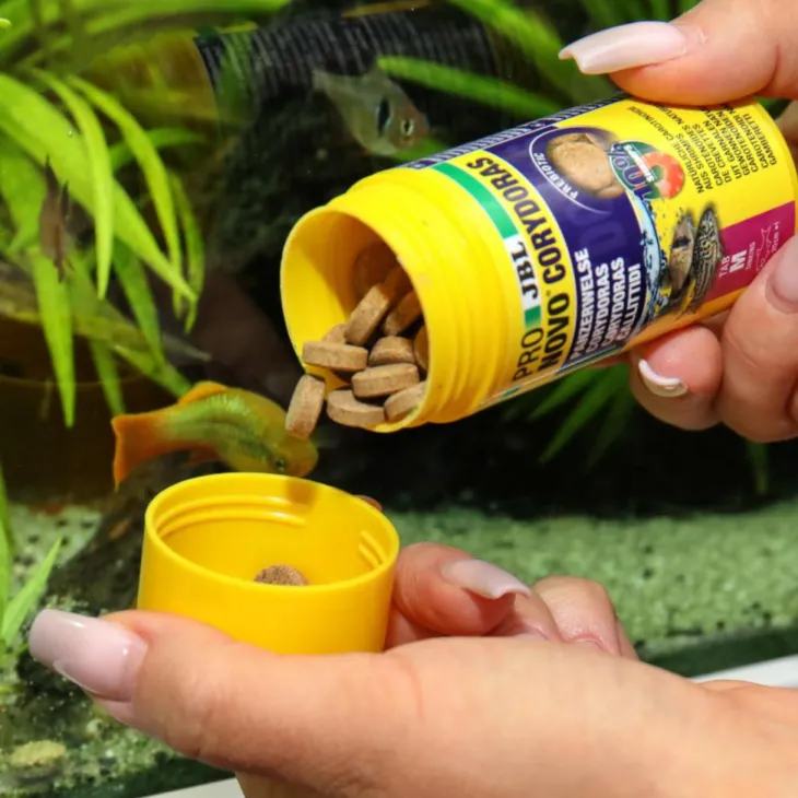 Aliment en comprimés pour corydoras JBL Pronovo Tab M – 100 ml