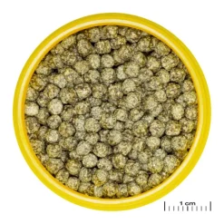 Aliment en granules pour poisons rouges JBL Pronovo red grano M – 100 ml