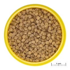 Aliment en granulés JBL Pronovo fantail grano M – 100 ml