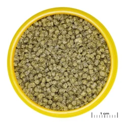 Aliment en granulés pour Axolotl JBL Pronovo lotl grano M – 250 ml