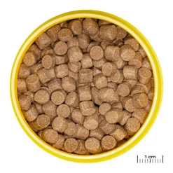 Aliment en granulés pour Axolotl JBL Pronovo lotl grano XL – 250 ml