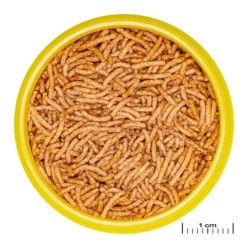 Aliment pour betta à base d'insectes JBL ProNovo Stick - 10g/20ml