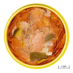 Alimentation poisson spécifique Tanganyika, JBL ProNovo Flakes - 250ml/45g