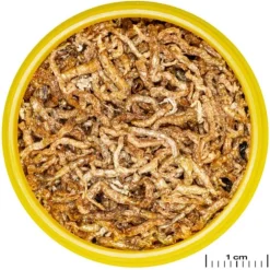 Alimentation pour poissons ProNovo Fil M, riche en vitamines - JBL - 25g / 250mL