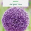 Allium giganteum botanic® - 1 bulbe