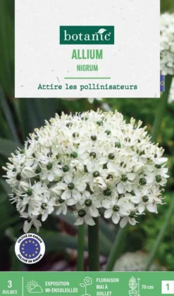 Allium Nigrum en mélange botanic® - 3 bulbes