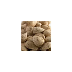 Amandier Lauranne ®. Le pot de 15 litres, forme 1/2 tige