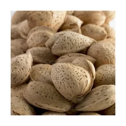 Amandier Lauranne Bio. Le pot de 15 litres forme 1/2 tige