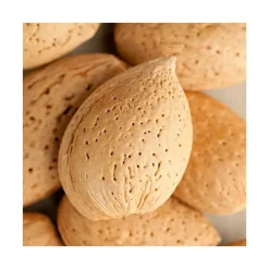 Amandier Marcona. Le pot de 15 litres forme 1/2 tige