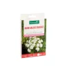 Ammi Majus sauvage botanic® - graines à semer (3 m²)
