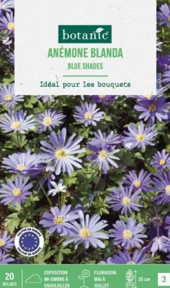 Anémone blanda blue shades en mélange botanic® - 20 bulbes