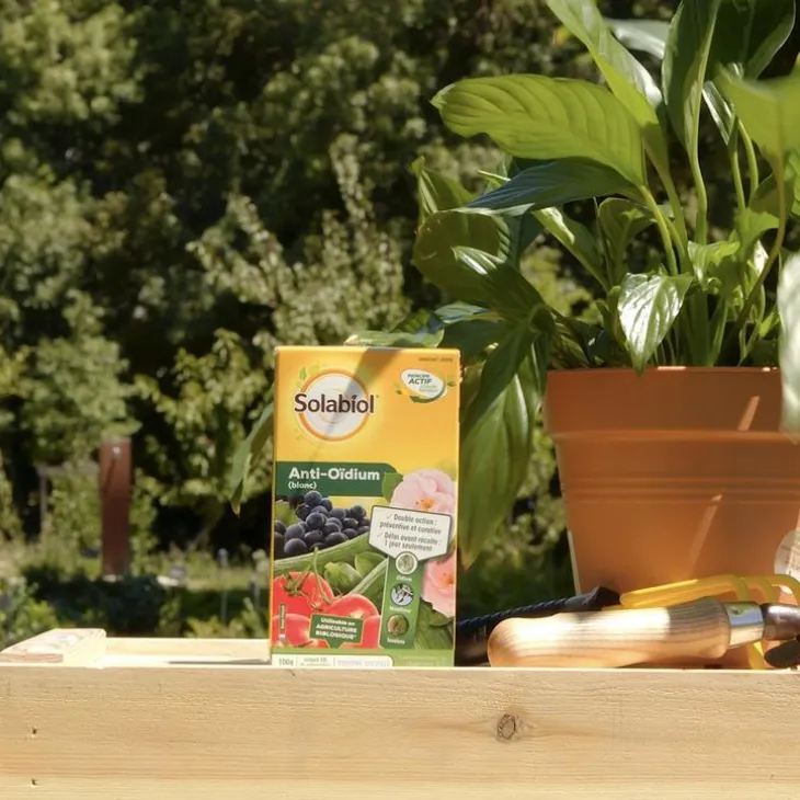 Anti-oïdium 100 g