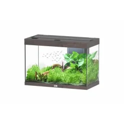 Aquarium 146 litres équipé LED 2.0 et filtre Aquatlantis Splendid chêne foncé - 80 x 40 x 56 cm