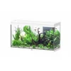 Aquarium 202 litres équipé LED 2.0 et filtre Aquatlantis Splendid blanc - 100 x 40 x 61 cm
