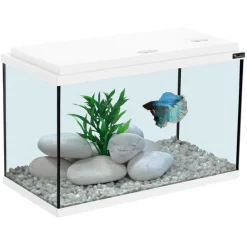 Aquarium coloris blanc 20L - 40 x 20 x 25 cm