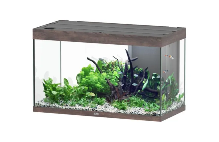 Aquarium coloris chêne foncé Aquatlantis Sublime Ultra LED 2.0 245 L - 100 x 50 x 60 cm