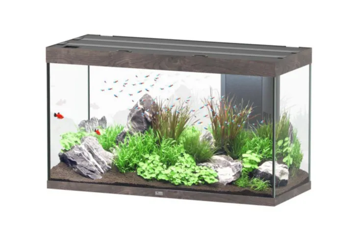 Aquarium coloris chêne foncé Aquatlantis Sublime Ultra LED 2.0 333 L - 120 x 50 x 70 cm