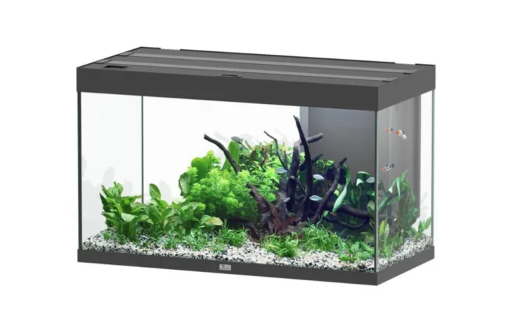 Aquarium coloris noir Aquatlantis Sublime Ultra LED 2.0 245 L - 100 x 50 x 60 cm