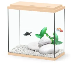 Aquarium Coralia avec filtre Aquatlantis - 18 L