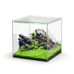 Aquarium cuve nue Kubus - 54L
