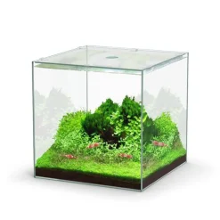 Aquarium cuve nue Kubus - 22L