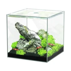 Aquarium cuve nue Kubus - 15L