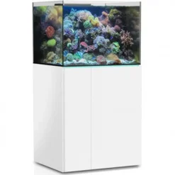 Aquarium de 245 litres avec son meuble et sa cuve de filtration d'un volume de 55 litres