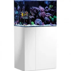 Aquarium de 190 litres avec son meuble et sa cuve de filtration d'un volume de 55 litres