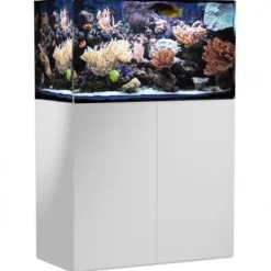 Aquarium de 250 litres avec son meuble et sa cuve de filtration d'un volume de 55 litres
