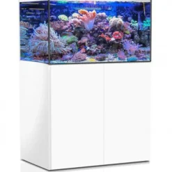 Aquarium de 325 litres avec son meuble et sa cuve de filtration d'un volume de 55 litres