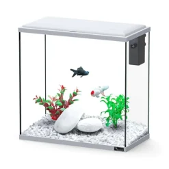 Aquarium d'eau froide et d'eau douce coloris gris Aquatlantis Explorer Dublin - H 40 x P 20 x L 40 cm