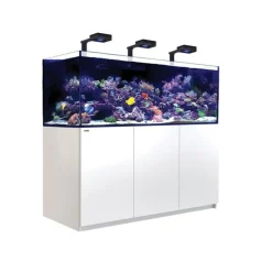 Aquarium eau de mer avec un meuble coloris blanc Reefer™ Deluxe XXL 750 Red Sea - 180 x 65 x 148 cm