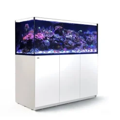 Aquarium eau de mer avec un meuble coloris blanc Reefer™ XXL 625 Red Sea - 150 x 65 x 148 cm