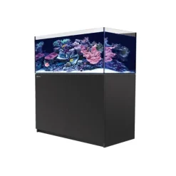 Aquarium eau de mer avec un meuble coloris noir Reefer™ XL 425 Red Sea - 120 x 57,5 x 142 cm