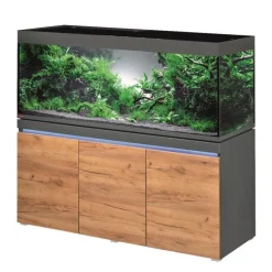Aquarium eau douce avec meuble coloris graphiteature Eheim Incpiria 530L