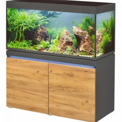 Aquarium en graphite naturel, LED, EHEIM AQUARIUM Incpiria 430 - 430L