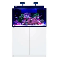 Aquarium marin Max Nano G2 XXL + Meuble Blanc - RED SEA AQUARIUM - 200L
